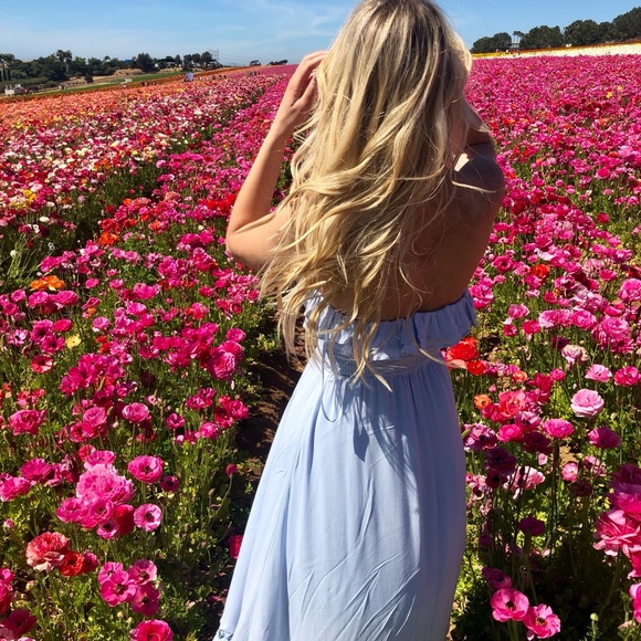 amandarose03